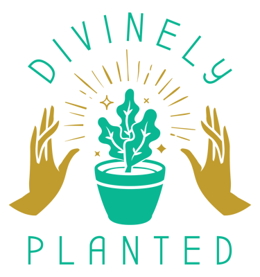 Divinely Planted Home