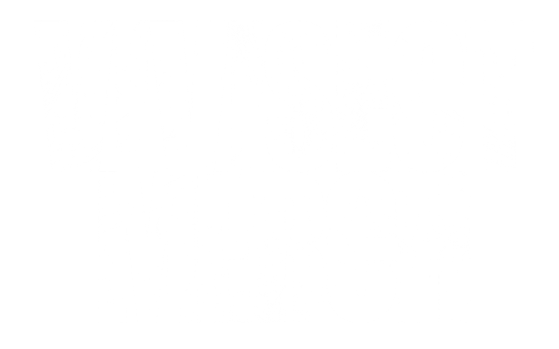 Vivisect Merch