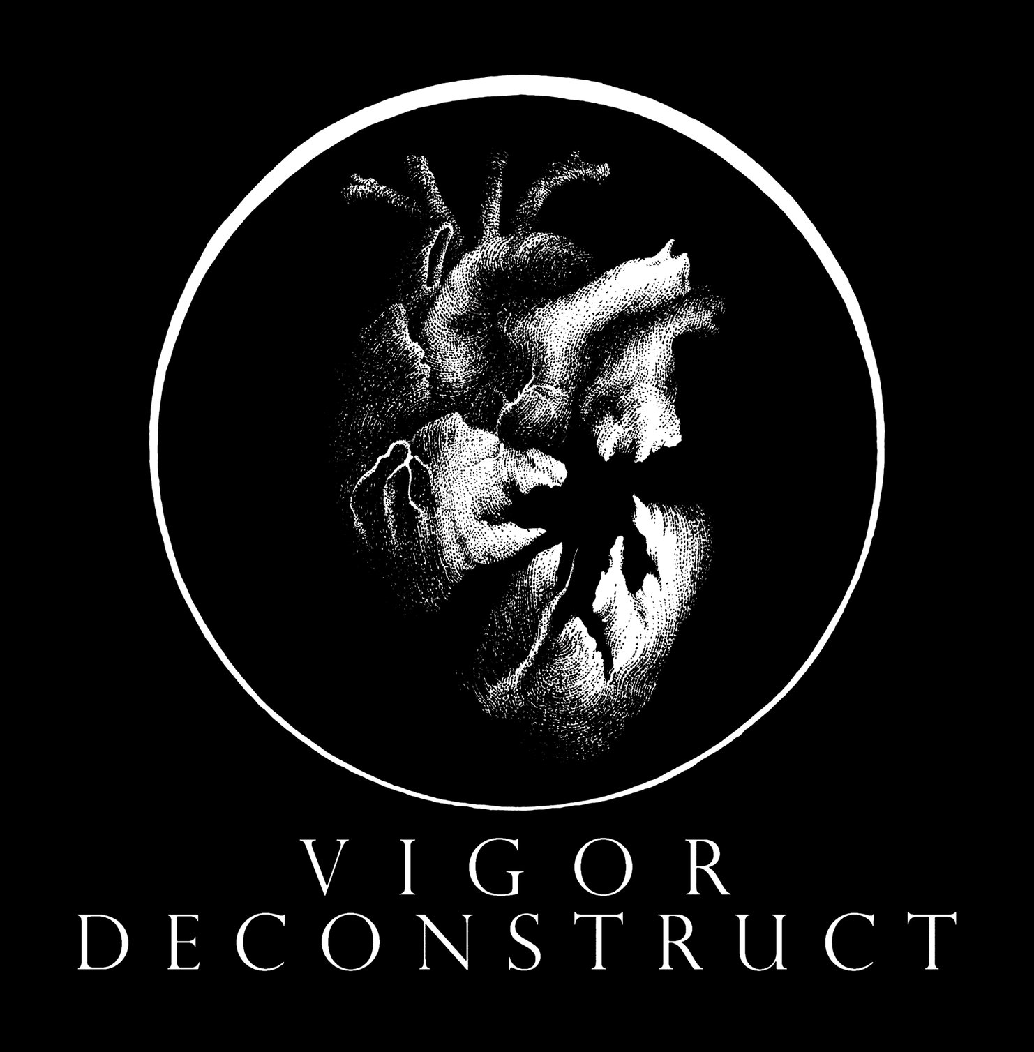 vigordeconstruct