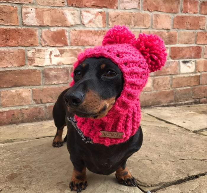 Home Snazzy Sausage Dog Jumpers