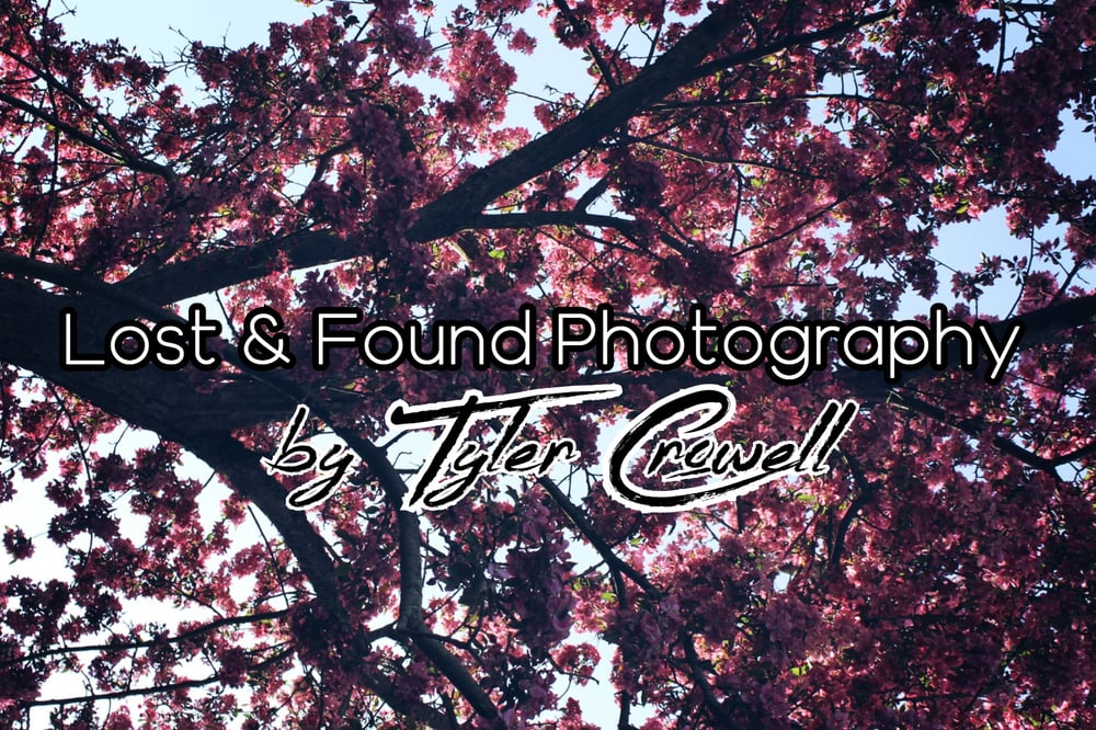 lostandfoundphoto