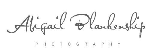 Abigail Blankenship Photography Home