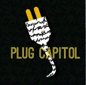 The Plug Capitol 