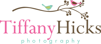 Tiffany Hicks Photography 