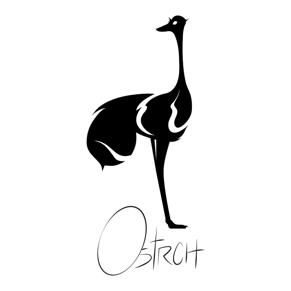 Ostrch