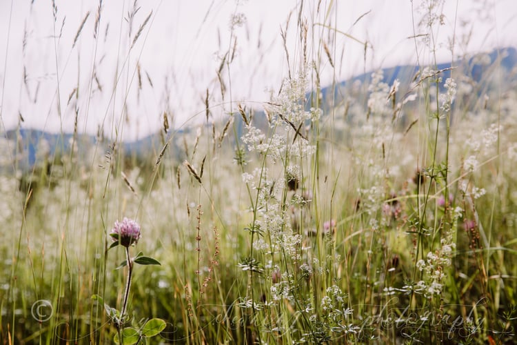 Cory Chewning Photography Home