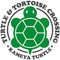 Turtle & Tortoise Crossing