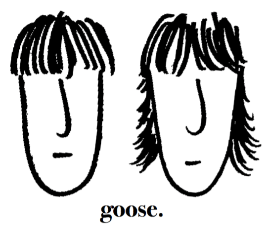 Goose Clothing Home