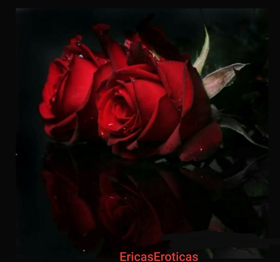 Erica's Erotica's