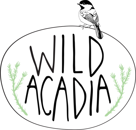 Wild Acadia