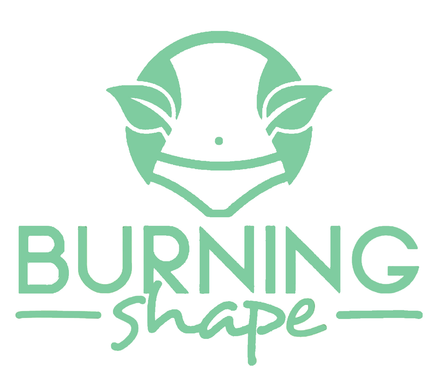 Burning Shape