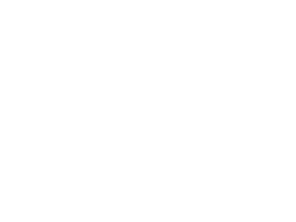 desolate blight merch!