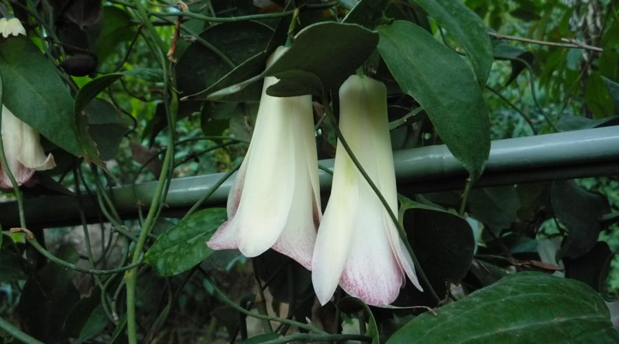 Slideshow image 2