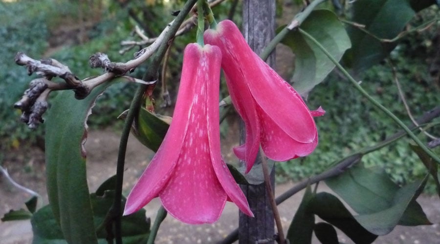 Slideshow image 1