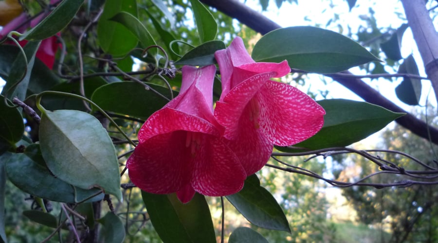 Slideshow image 5