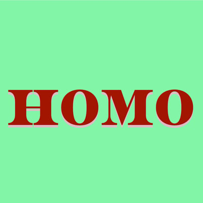 THE HOMOROMANTICS