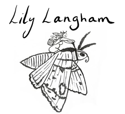  Lily Langham Home
