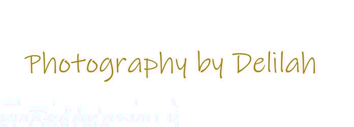Photography by Delilah