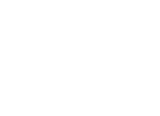 Lacuna Arts Home