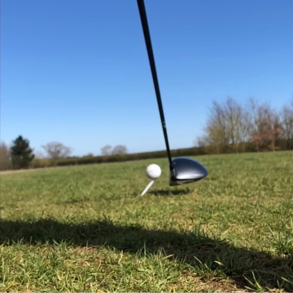 Home Drive 45 Angled Golf Tees