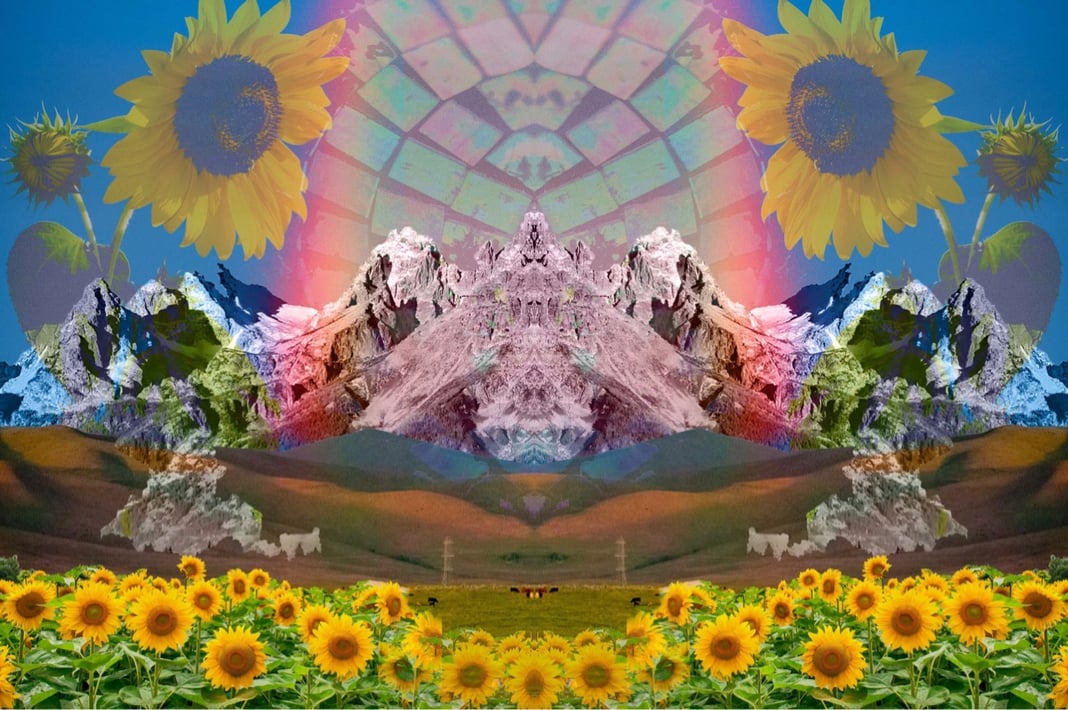 Slideshow image 2