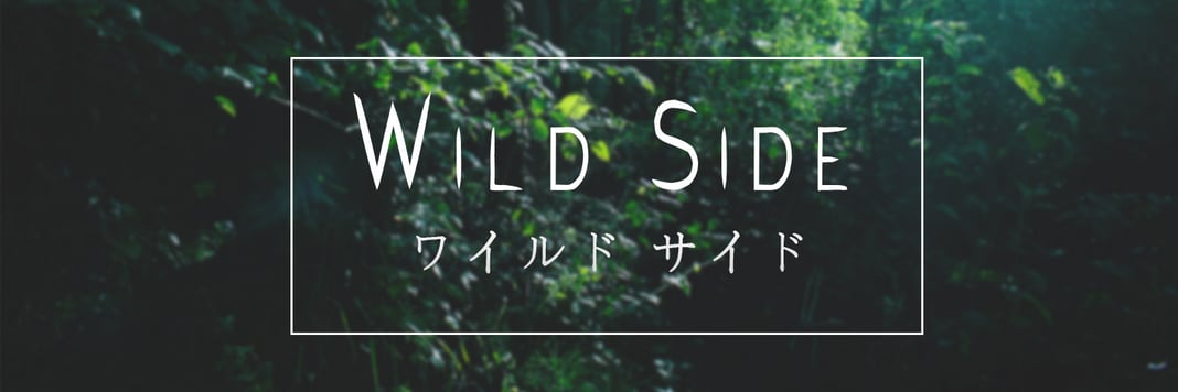 Wild Side Apparel Home