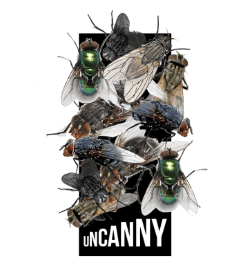Uncannythebrand Home