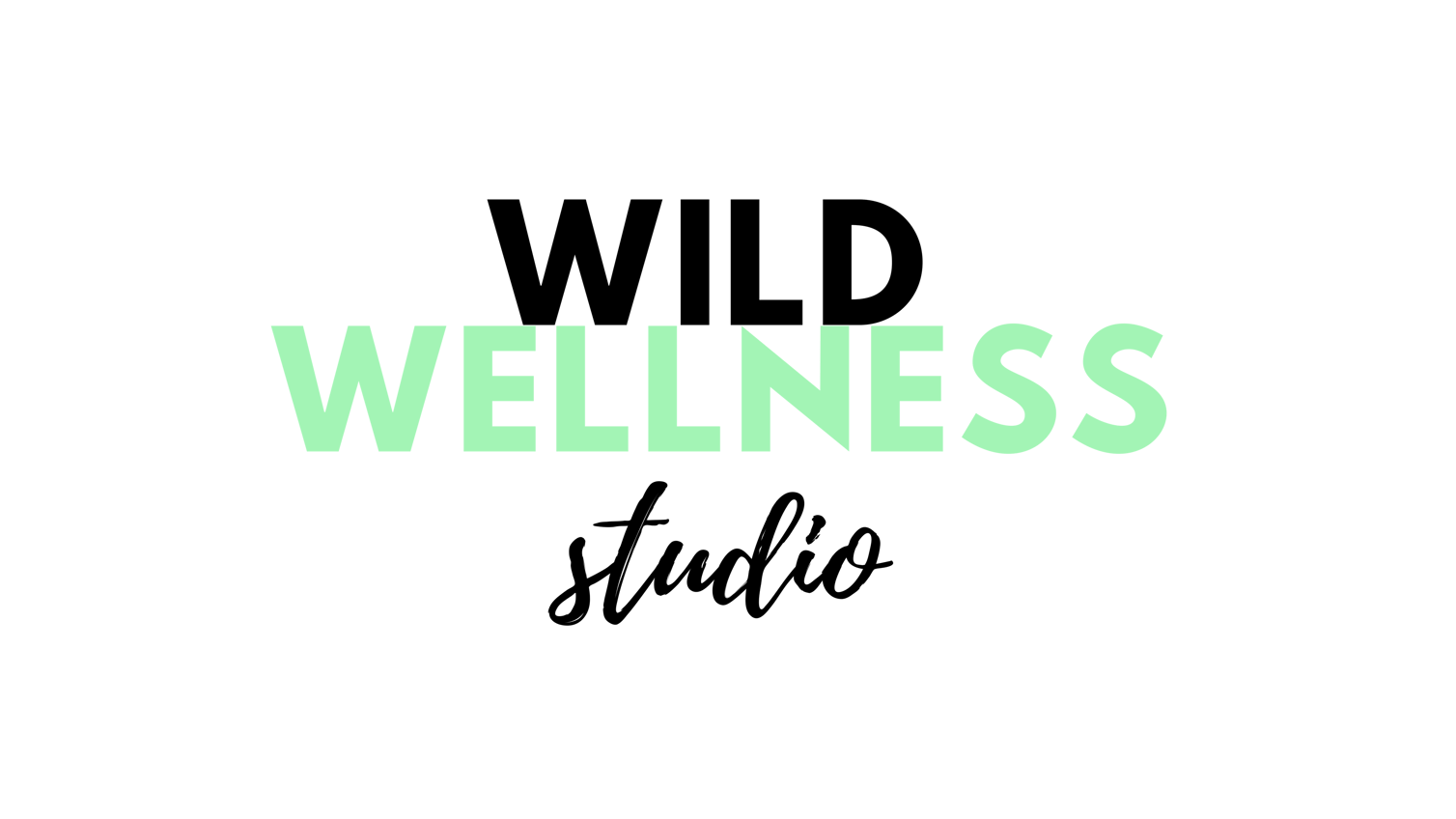 WildWellnessStudioShop Home