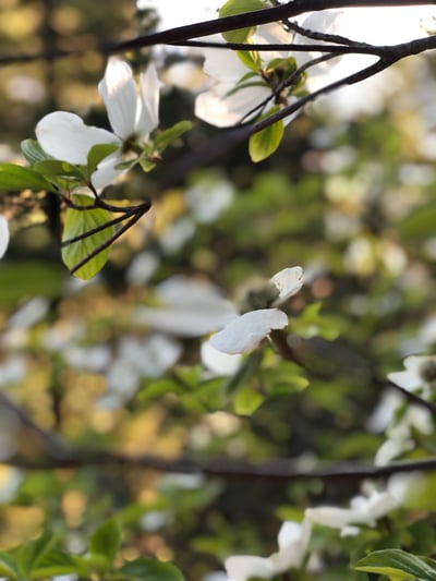 Slideshow image 4