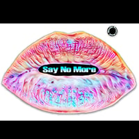 SAY NO MORE BY NICOLE PRESTWICK  Home