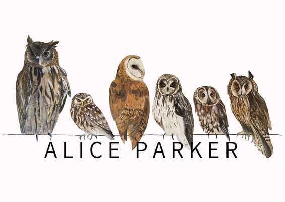 Alice Parker Home