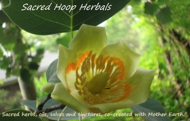 Sacred  Hoop Herbals