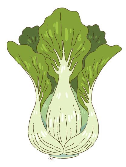 Bokchoi Market