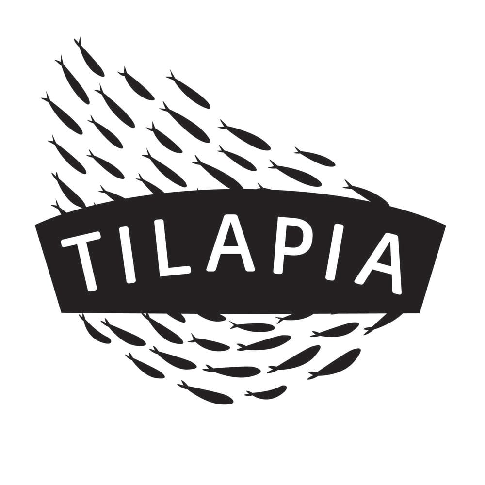 Tilapia