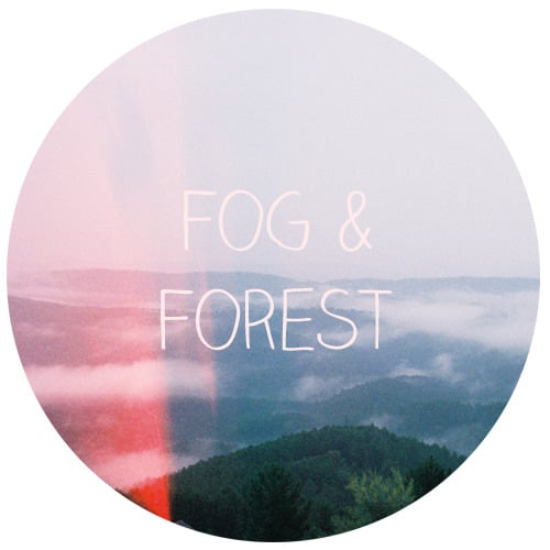 Fog & Forest