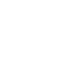 The Chinatowner Home