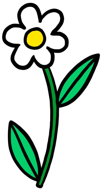 Daisy Kennedy Home
