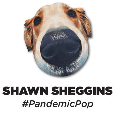 Shawn Sheggins Home