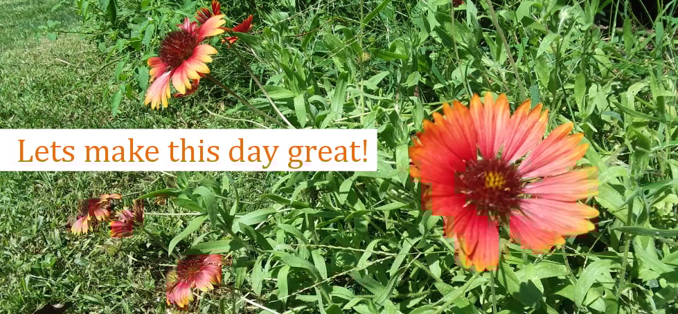 Welcome to Shady Street Studio