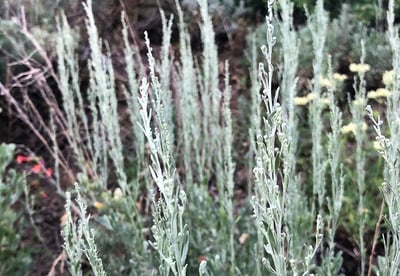 Slideshow image 1