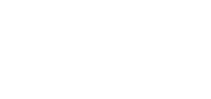 endless collective