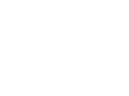 TheFlair 