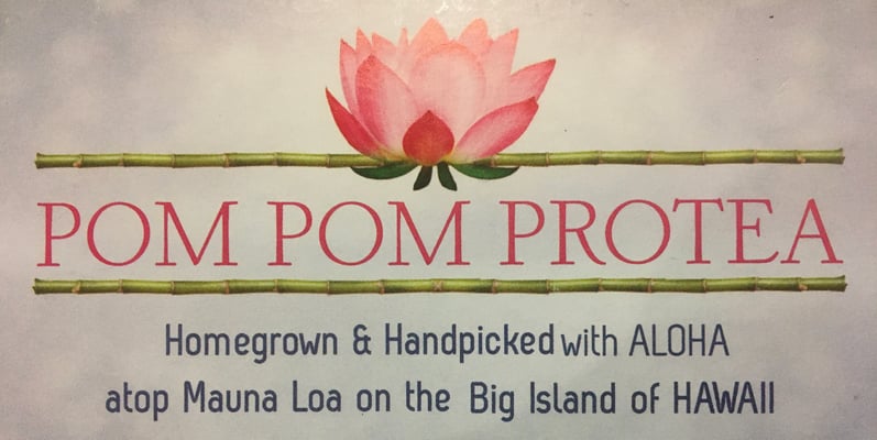 Pom Pom Protea Home