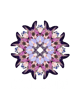 Cloud Seven