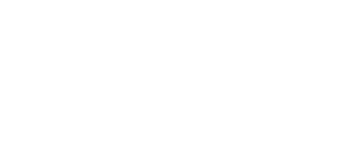 Surveyor Books