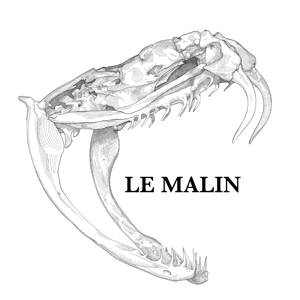 LE MALIN Home