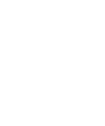 Sly Guy Lures