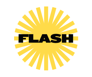 FLASH STORE Home