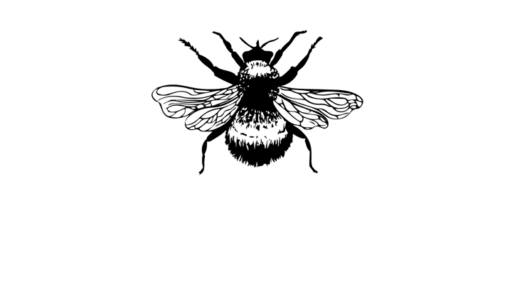 Sunshine Hive Home