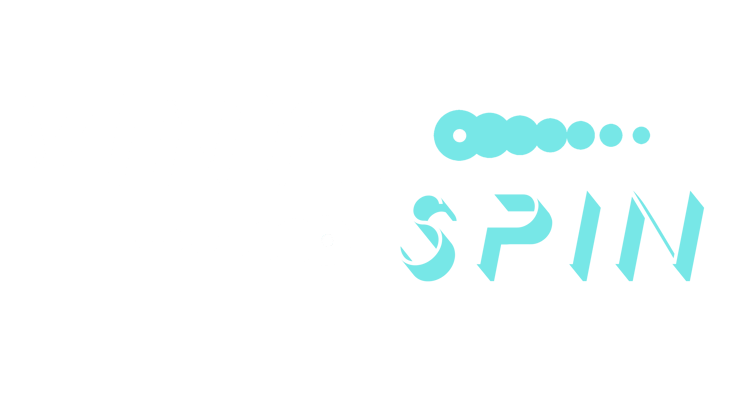Vinyl Spin Home
